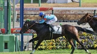 【新馬/中山5R】ブラックタイド産駒 ターコイズフリンジが力強く差し切る