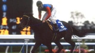 JRA70周年企画「GIメモリアルヒーロー」24頭が決定 ライスシャワーやサイレンススズカの名前も