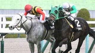 【タンザナイトS結果】カルネアサーダがハナ差逃げ切りV