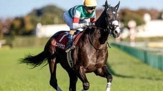 【朝日杯FS予想】非重賞戦組を重視する手も!? 過信禁物なデイリー杯2歳S組