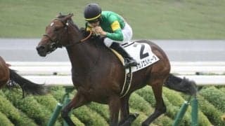 阪神芝は展開一つ 朝日杯FSは内枠＆先行脚質の伏兵に要注意