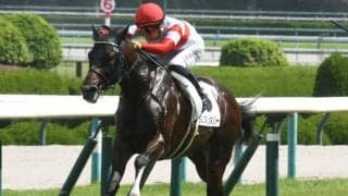 【AI予想・朝日杯FS】過去傾向も好走を強力にプッシュ！ 本命は2歳マイル王決定戦で良績残す馬主が送り出す逸材