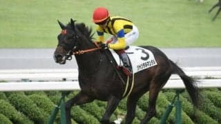 【今日の注目ポイント】2歳マイル王決定戦・朝日杯FSなど