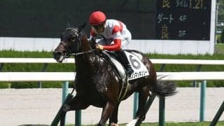 【朝日杯FS予想】2歳マイル王を目指す素質馬17頭が集結