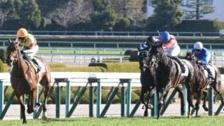 阪神芝は内＆前有利 ジャンタルマンタルに追い風か