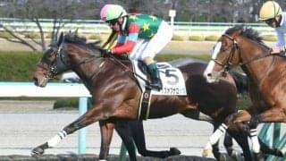 【阪神5R新馬戦結果】トップオブザロックがゴール前の争いを制す