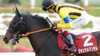 【朝日杯FS・馬体重】ジャンタルマンタルは490kg(±0)、シュトラウスは510kg(-10)