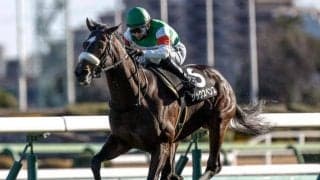 【ひいらぎ賞結果】シックスペンスが抜け出し無傷2連勝