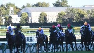 【JRA・WIN5】本日のWIN5は的中3058票、配当15万7670円