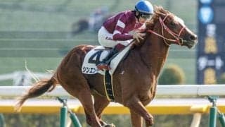 【ホープフルS】シンエンペラー、ゴンバデカーブースらが登録