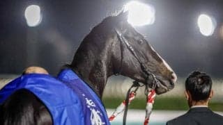 GI・6勝挙げたイクイノックス 16日に競走馬登録を抹消