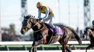 【中山大障害】ニシノデイジー、マイネルグロンらが登録