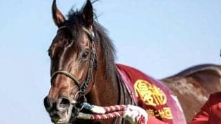 有馬記念で父ディープインパクトとの親仔制覇なるか 重賞制覇で勢い乗る宝塚記念6着馬が出走