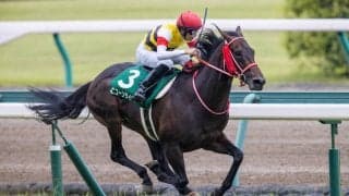 ユニコーンライオンが競走馬登録抹消