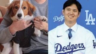 「誰にでも飼えるわけではない」米老舗紙は大谷翔平の愛犬デコピンが生んだ“世界的フィーバー”に警鐘「しつけに根気必要」