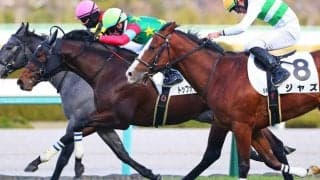 【新馬/阪神5R】トップオブザロックがゴール寸前で差し切る…ミスニューヨーク半弟