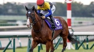 【阪神C予想オッズ】ママコチャが予想1番人気