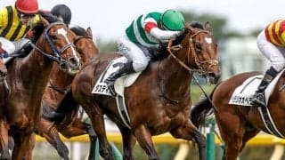 【有馬記念展望】ダービー馬タスティエーラが混戦断つ