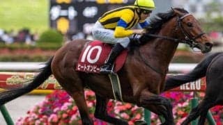 ヒートオンビートにかかる有馬記念史上初の快挙とは 2500m巧者が波乱呼ぶ