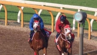 シンエンペラー、ホープフルS追い切り速報/栗東トレセンニュース