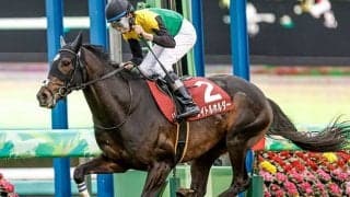 有馬記念的中のヒントは球界にアリ!? 今年のサイン予想を聞いてみた