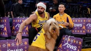 NBAコートサイドで“イヌ観戦”…「見たことない光景」なぜ実現？