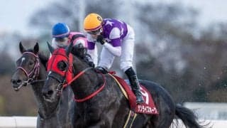 【兵庫ゴールドトロフィー】M.デムーロ「夏からだいぶ成長」サンライズホークが交流重賞を連勝