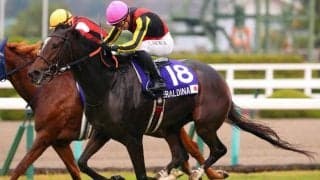 ジェラルディーナが競走馬登録抹消