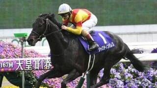 天皇賞(秋)は上がり最速2着 29万票の想い背に有馬記念でGI・2勝目へ