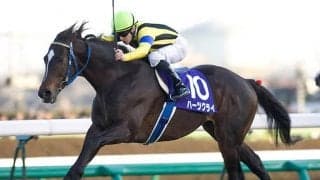 有馬記念×阪神優勝＝歴史的名馬の誕生!? 該当年の覇者にはそうそうたる名前