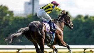 近走だけで“ブロンズコレクター”とは呼ばせない 有馬記念で二冠女王が意地を見せる