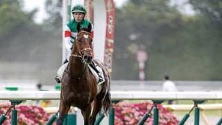 初の日本ダービー馬3世代対決が実現！ データでわかる有馬記念好走の1頭とは