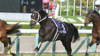 【有馬記念予想】伏兵を狙うのも決して無理筋ではない？ AIが推奨した注目した馬とは