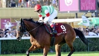 有馬記念、過去データから浮上する穴馬は「牝馬」「３歳牡馬」「ＧＩ３勝以上の引退表明馬」