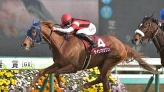 21年に同舞台の日経賞勝ち 侮るなかれ…香G1馬が有馬記念で有終の美飾るか