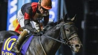 【名古屋グランプリ注目馬】個性派揃った一戦 ディクテオン重賞連勝なるか