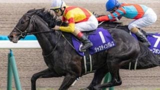 有馬記念で3度目の兄弟対決 過去2戦は弟に軍配だが今回は？