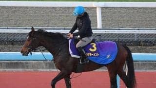 インザモーメント、ホープフルS追い切り速報/栗東トレセンニュース