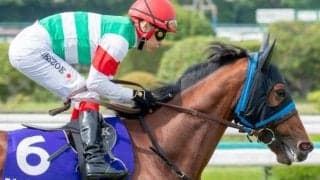 “グランプリ男”がGI初制覇に導くか 凱旋門賞4着馬が有馬記念で父娘制覇を狙う