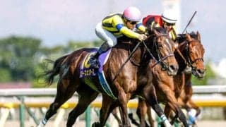 【有馬記念出走馬・騎手確定】スターズオンアース＆C.ルメール騎手、タスティエーラ＆R.ムーア騎手など16頭