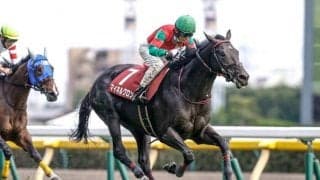 【中山大障害出走馬・騎手確定】マイネルグロン＆石神深一騎手、ニシノデイジー＆五十嵐雄祐騎手など12頭