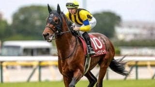 【有馬記念枠順】ヒートオンビートは5枠9番に決定 坂井騎手「勝負服と同じ色でいいコーディネートになると思う」