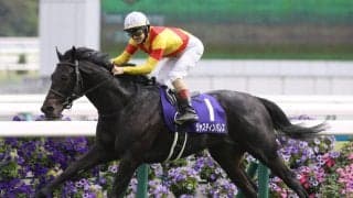 【有馬記念／枠順傾向】5枠が3連勝中　命運を握る枠順抽選会の行方は……