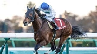 【有馬記念枠順】アイアンバローズは4枠7番に決定 上村調教師「持久力を生かした競馬を」