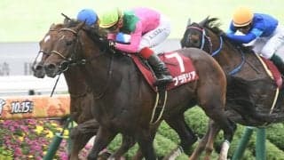 【有馬記念枠順】プラダリアは7枠14番に決定 ムルザバエフ騎手「有力馬がそばにいるのでいい枠」