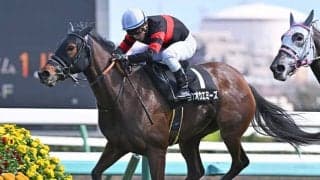 【有馬記念枠順】ホウオウエミーズは2枠3番に決定 田辺騎手「前走は別馬かと思うくらい成長を感じた」