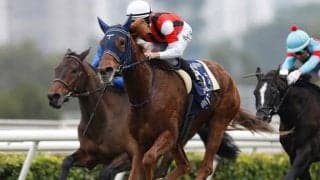 【有馬記念枠順】ウインマリリンは6枠12番に決定 モリス騎手「どの番号でも大丈夫だと思う」