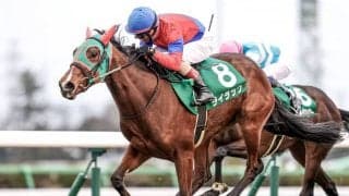 【有馬記念枠順】ライラックは4枠8番に決定 戸崎騎手「偶数枠でいいと思う」