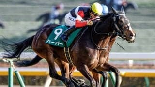 【有馬記念枠順】ハーパーは6枠11番に決定 岩田望騎手「外過ぎず、内すぎず良かった」