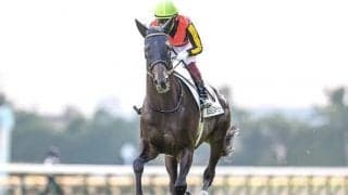 【有馬記念枠順】シャフリヤールは1枠2番に決定 松山騎手「素晴らしい枠だと思います」